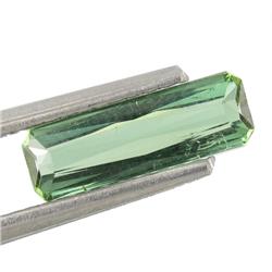 0.83ct Forest Green Tourmaline Mozambique (GEM-29197)