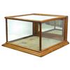Image 1 : Counter display case, oak, hinged back door w/mirror, VG cond, 15"H x 21"W x 23"D.