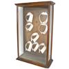 Image 1 : Collar display case, oak w/orig surface, clips at back to hold collars, VG cond, 32"H x 19"W x 9"D.