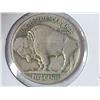 Image 2 : 1919-D BUFFALO NICKEL (FINE)