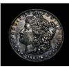 Image 1 : 1884-s Morgan Dollar Grades Almost Uncirculated au55