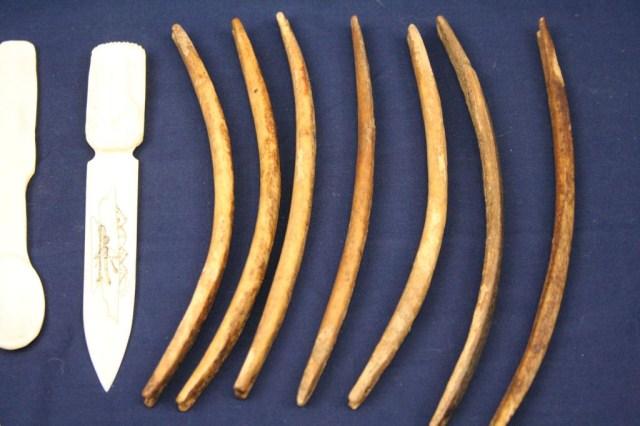 ALASKAN WALRUS IVORY & BONE TOOLS