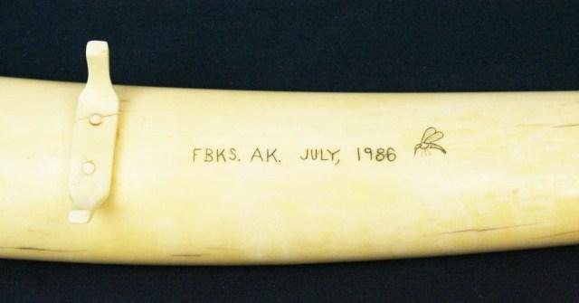 INUIT WALRUS TUSK CRIBBAGE BOARD SCRIMSHAW