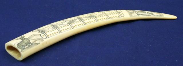 INUIT WALRUS TUSK CRIBBAGE BOARD SCRIMSHAW