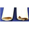 Image 3 : PAIR OF WALRUS IVORY SCRIMSHAW TUSKS