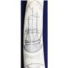 Image 2 : WHALING SHIP CHARITY WALRUS IVORY TUSK SCRIMSHAW