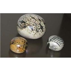 Three Muley Ceramic Pods