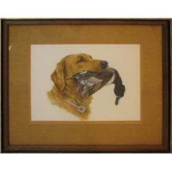 Sherm Pherson Golden Retriever with Wood Duck watercolor