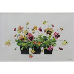 pair of Cathy Weisz Pansy watercolors
