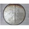 Image 1 : 2006 AMERICAN SILVER EAGLE (UNC)