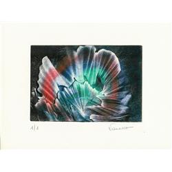 Clo Vanesco ( 1937 Geneva-2007 San Diego ): Arc en ciel abyssal 1990s