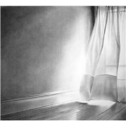 Dan Pyle: An Open Window 2008