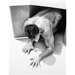 Dan Pyle: Urban Safari 2010