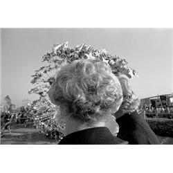 Fred Licht: Hairdo and Stars 1972