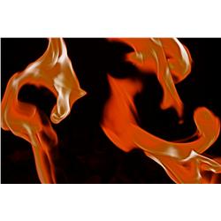 David Gardner: Circle of Fire