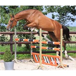 Calua VDL - Bid is for Monthly Payment (1 of 60)