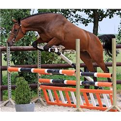 Clarinette (Original VDL x Indoctro) - Bid is for Monthly Payment (1 of 60)