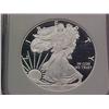 Image 2 : 2008W Silver Eagle