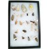 Image 3 : Collection of Arrowheads