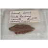 Image 7 : Collection of Arrowheads
