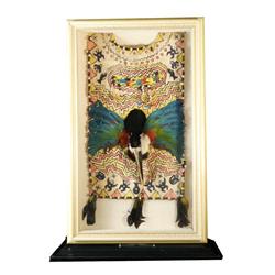 Shaman's S. American costume in double case with toucans parrot feathers, hand painted fiber cloth (