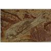 Image 3 : 3 Fossilized Pre-Historic Fish