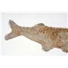 Image 4 : Fossil "Xiphactinus" Sword Ray bony fish 34" long 100 million year old fossil.  was a large, long pr