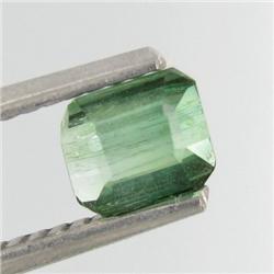 0.69ct Natural Green Tourmaline (GEM-25483)