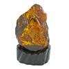 Image 1 : 3225ct Baltic Amber Gem 5 1/4"  (GEM-26939)
