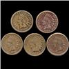 Image 1 : 1863 Indian Cent Lot of 5 Circulated (COI-7455)