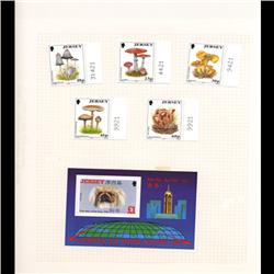 Jersey Mint Margin Single Album Page 6 Pcs (STM-0661)