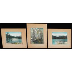  Harry Standley, Photograph