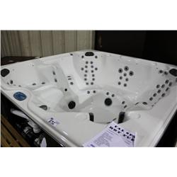 Calspa Luxury Hot Tub With 90 Ss Jets, 3 Pillows,