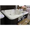 Image 1 : Calspa Hot Tub W/45 Ss Jets, 3 Pillows,