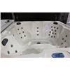 Image 2 : Calspa Hot Tub W/45 Ss Jets, 3 Pillows,