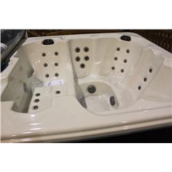 Calspa Hot Tub W/45 Ss Jets, 3 Pillows,