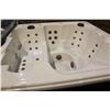 Image 1 : Calspa Hot Tub W/45 Ss Jets, 3 Pillows,