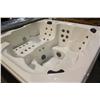 Image 2 : Calspa Hot Tub W/45 Ss Jets, 3 Pillows,