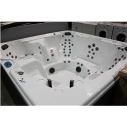 Calspa Luxury Hot Tub With 90 Ss Jets, 3 Pillows,
