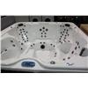 Image 2 : Calspa Luxury Hot Tub With 90 Ss Jets, 3 Pillows,