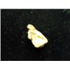 Image 1 : ALASKA GOLD NUGGET (3.9 GRAMS) NEAT PIECE