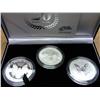 Image 2 : 2006 AMERICAN EAGLE 20TH ANNIVERSARY SILVER SET