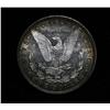 Image 3 : DMPL  1879-p All Original Morgan Dollar Grades ms63/4 DMPL