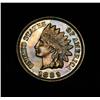 Image 1 : 1889 Proof 1c Indian Cent 1c grades PR 65 RD