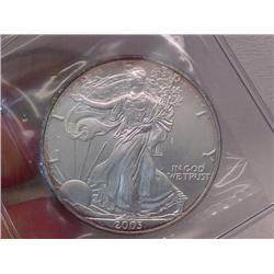2 Silver American Eagles