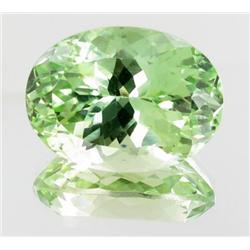 25ct Natural Green Kunzite  (GEM-26316)