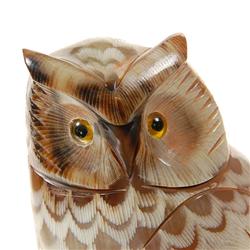 Rare White Buffalo Horn Scrimshaw Owl  (CLB-132)