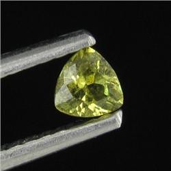 0.16ct Rich Green Demantoid Garnet (GEM-26562)