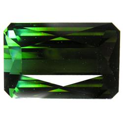9.95ct Bicolor Green Elbaite Tourmaline (GEM-24553)