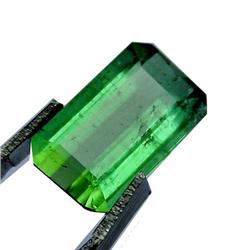 2.00ct Natural Splendid Hot Green Tourmaline (GEM-28221)